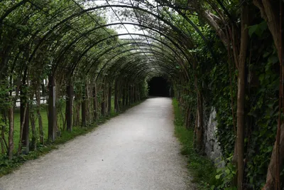 DSC_6125 (Large).JPG